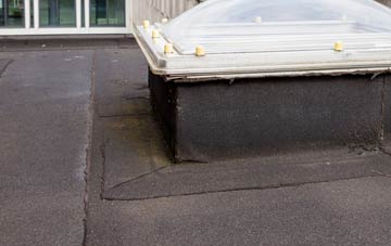 disadvantages of Rosslea flat roofs