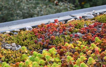 the cost of Rosslea green roof installation